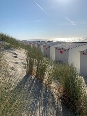 Studio Zeezicht Nieuwpoort Exterior foto